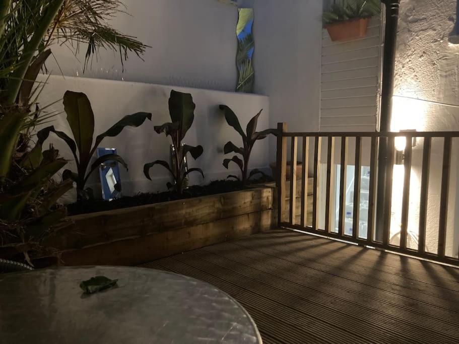 Brighton Palms Daire Dış mekan fotoğraf