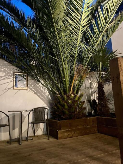 Brighton Palms Daire Dış mekan fotoğraf