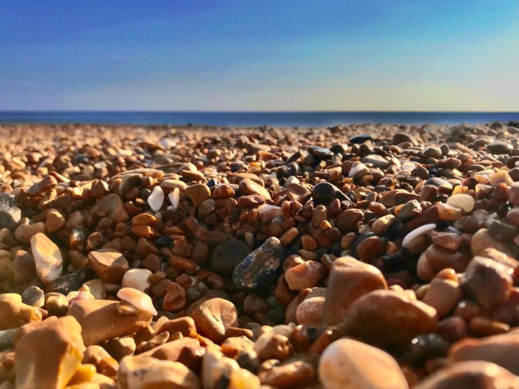 Brighton Palms Daire Dış mekan fotoğraf